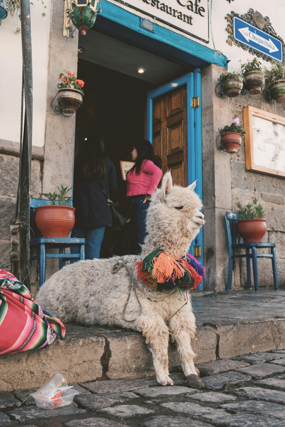 a llama standing in front of a building