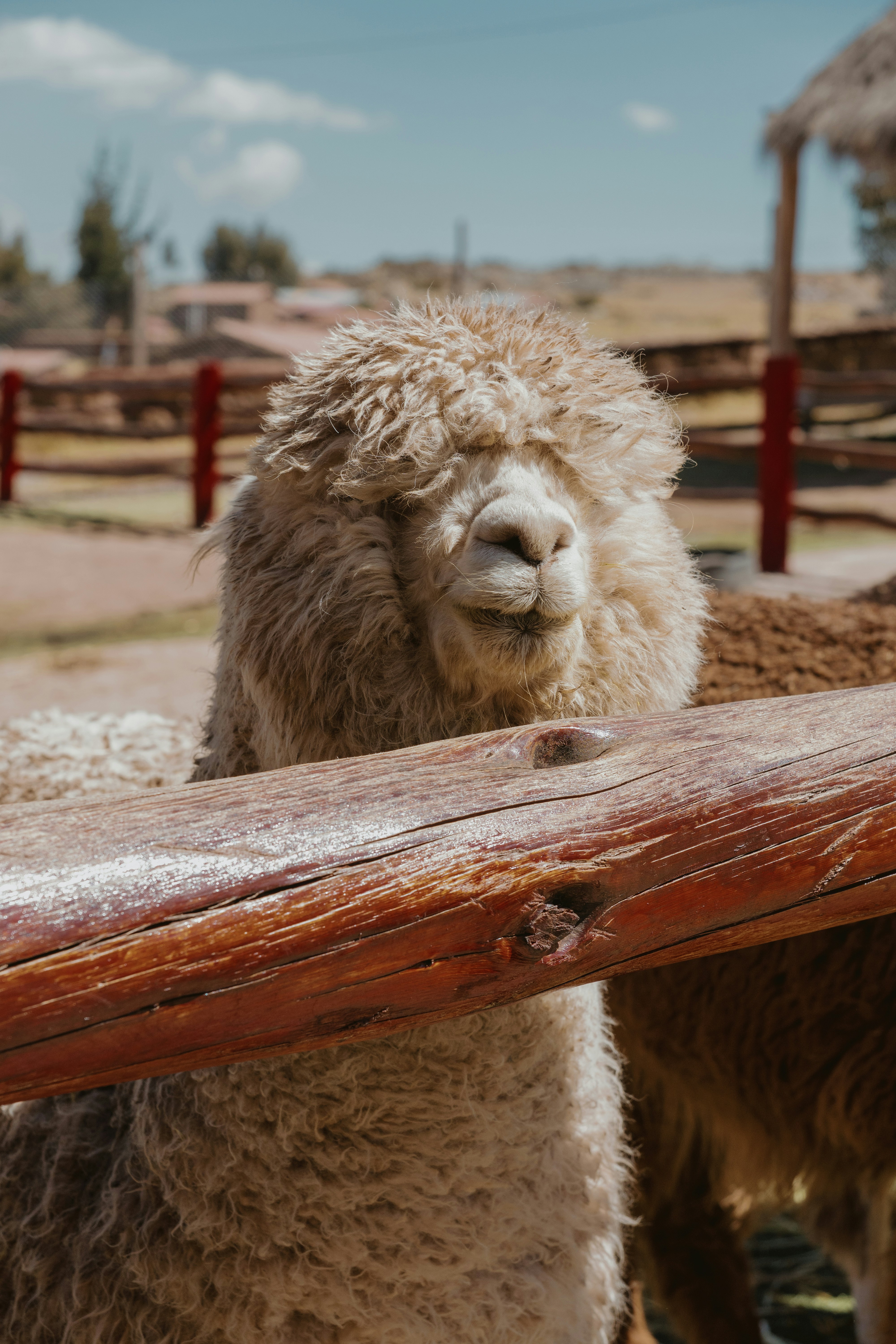 Photo by emmanuelcassar