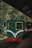 A small green and red train is stationed at a platform. It is surrounded by lush green foliage, indicating a forest or a nature reserve setting. The train has a simplistic design with large windows, and its front features white decorative lines.