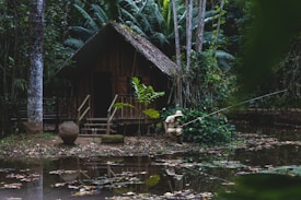 A rustic wooden cabin with a thatched roof nestled among lush, dense tropical foliage. A person wearing a hat is seated near the edge of a small pond, using a fishing rod. The pond reflects the surrounding greenery and the cabin. A large ceramic pot is placed near the stairs leading to the cabin.
