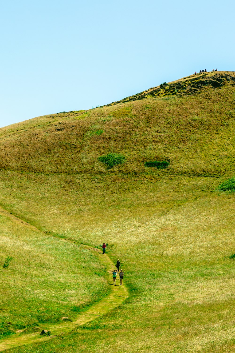 a group of people walking across a lush green hillside