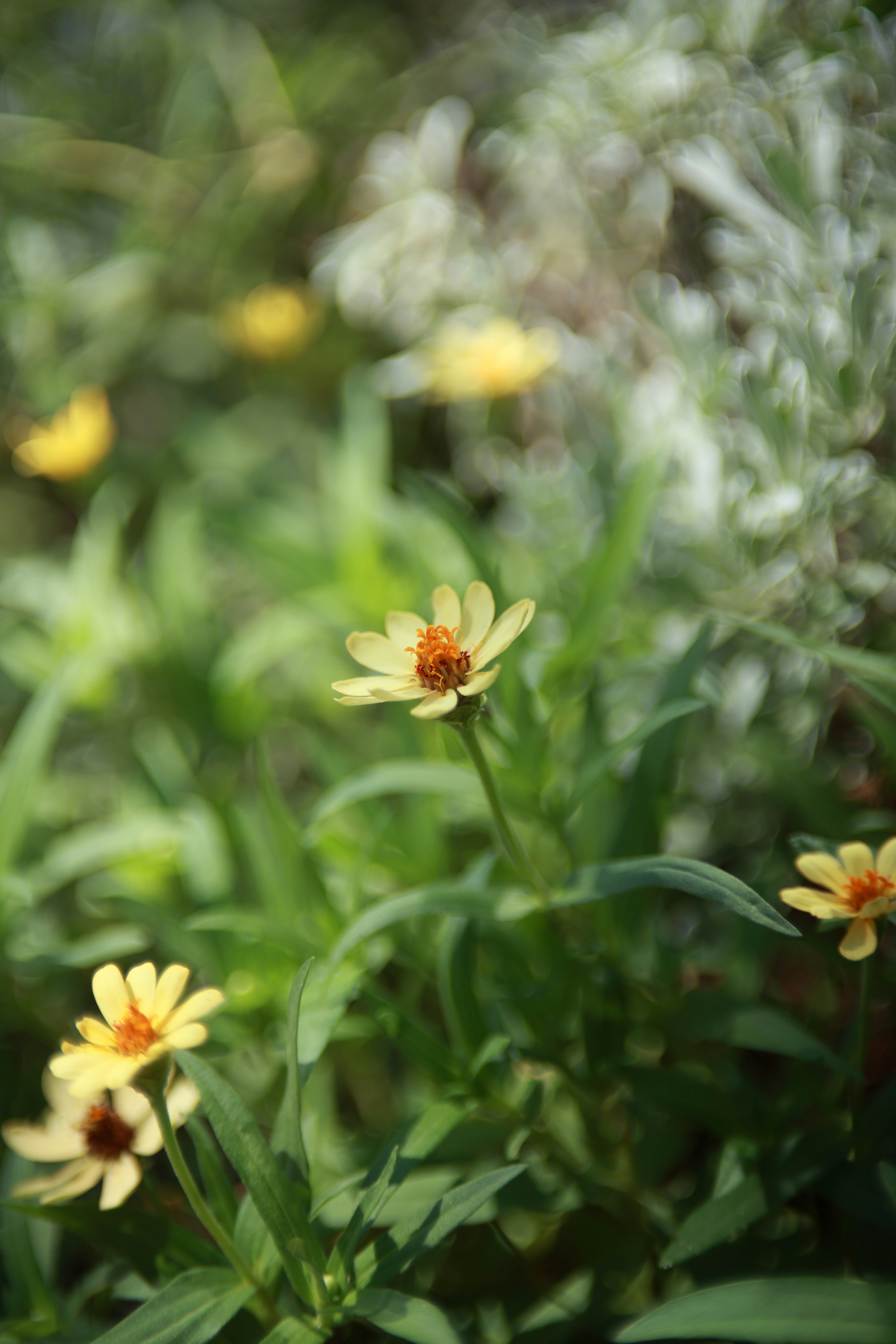 Photo by takatsuchida