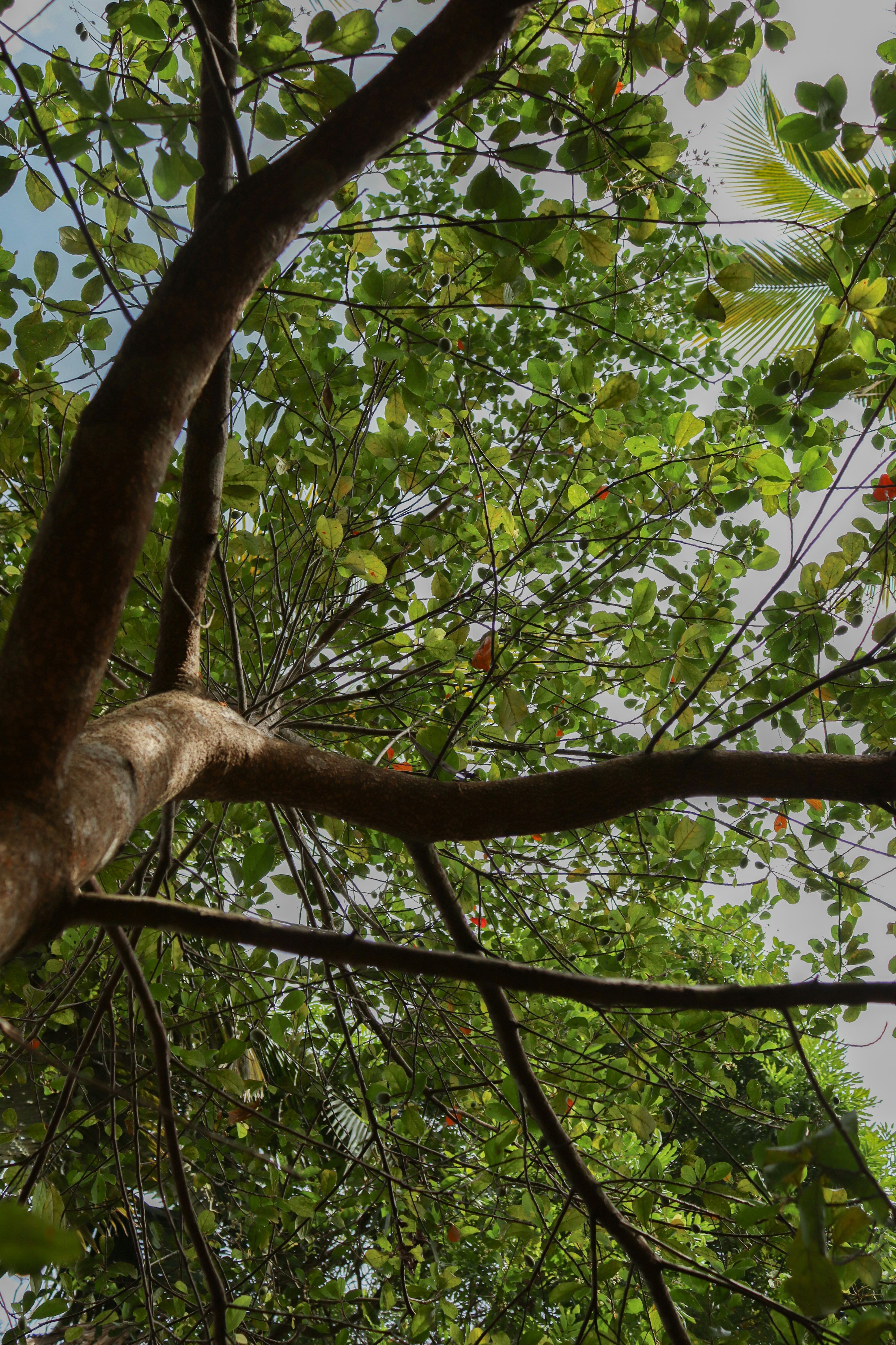 Photo by dimath_dayananda