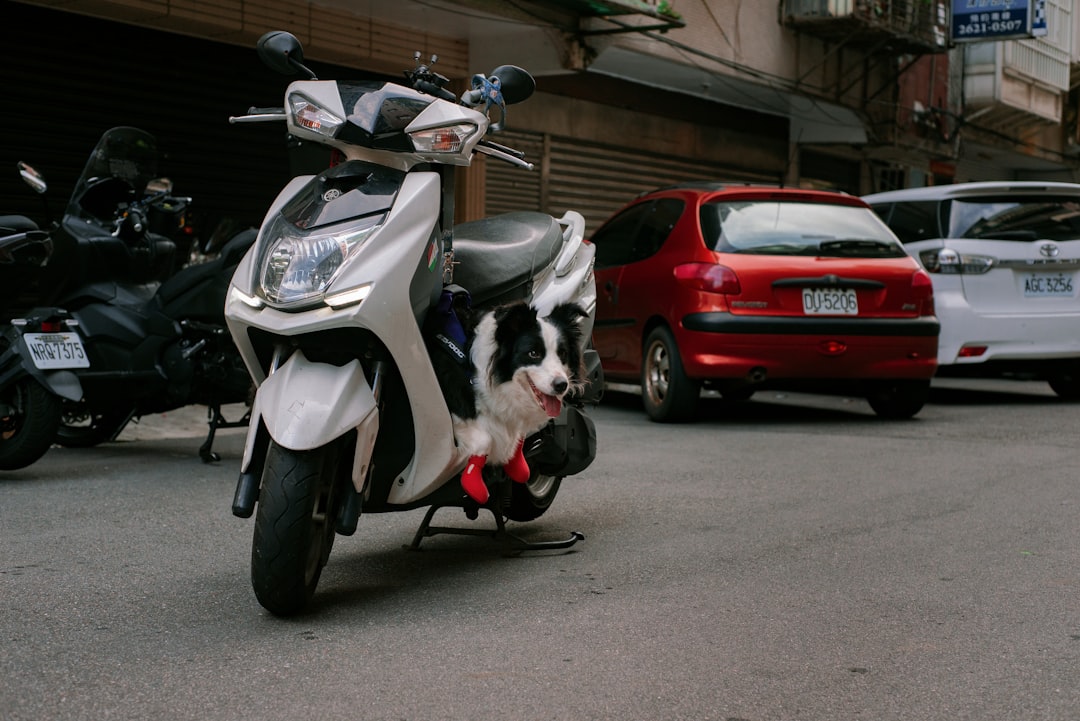 How to get motorcycle license alberta