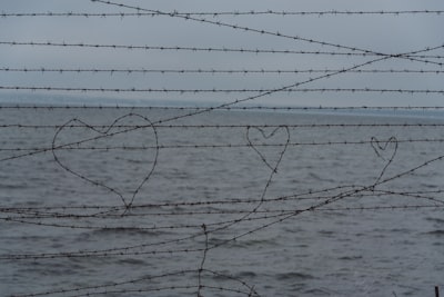 a couple of hearts drawn on a barbed wire fence