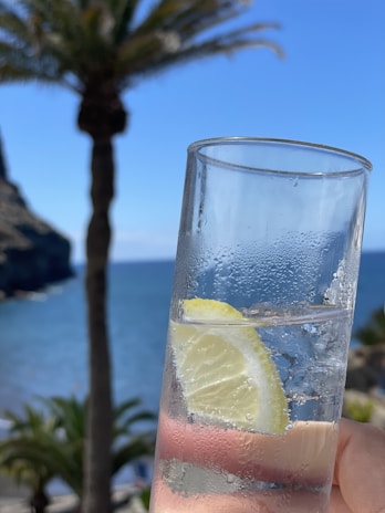 A close-up of a glass of seawater with a fresh lemon slice on the rim.