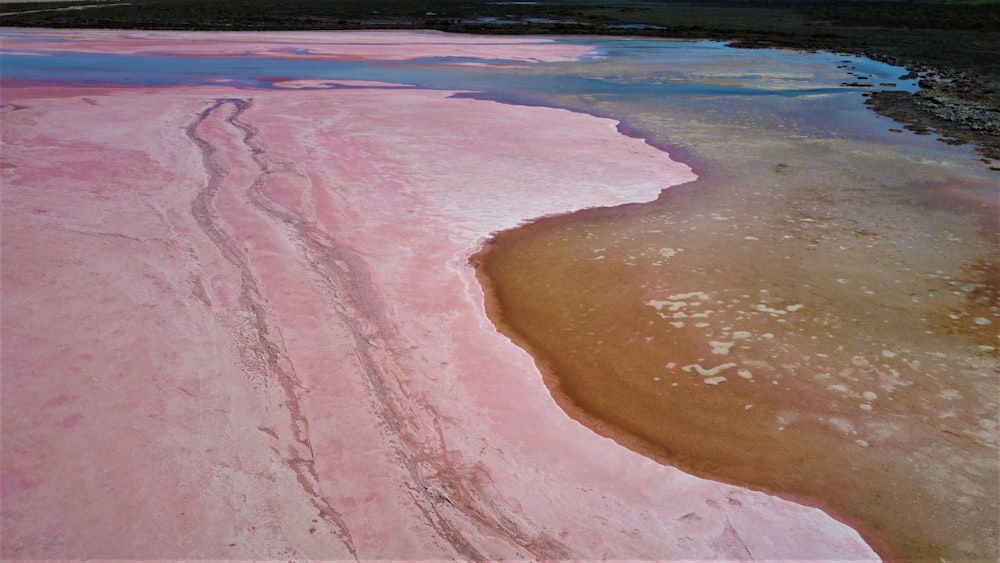 a body of water with a pink substance on it