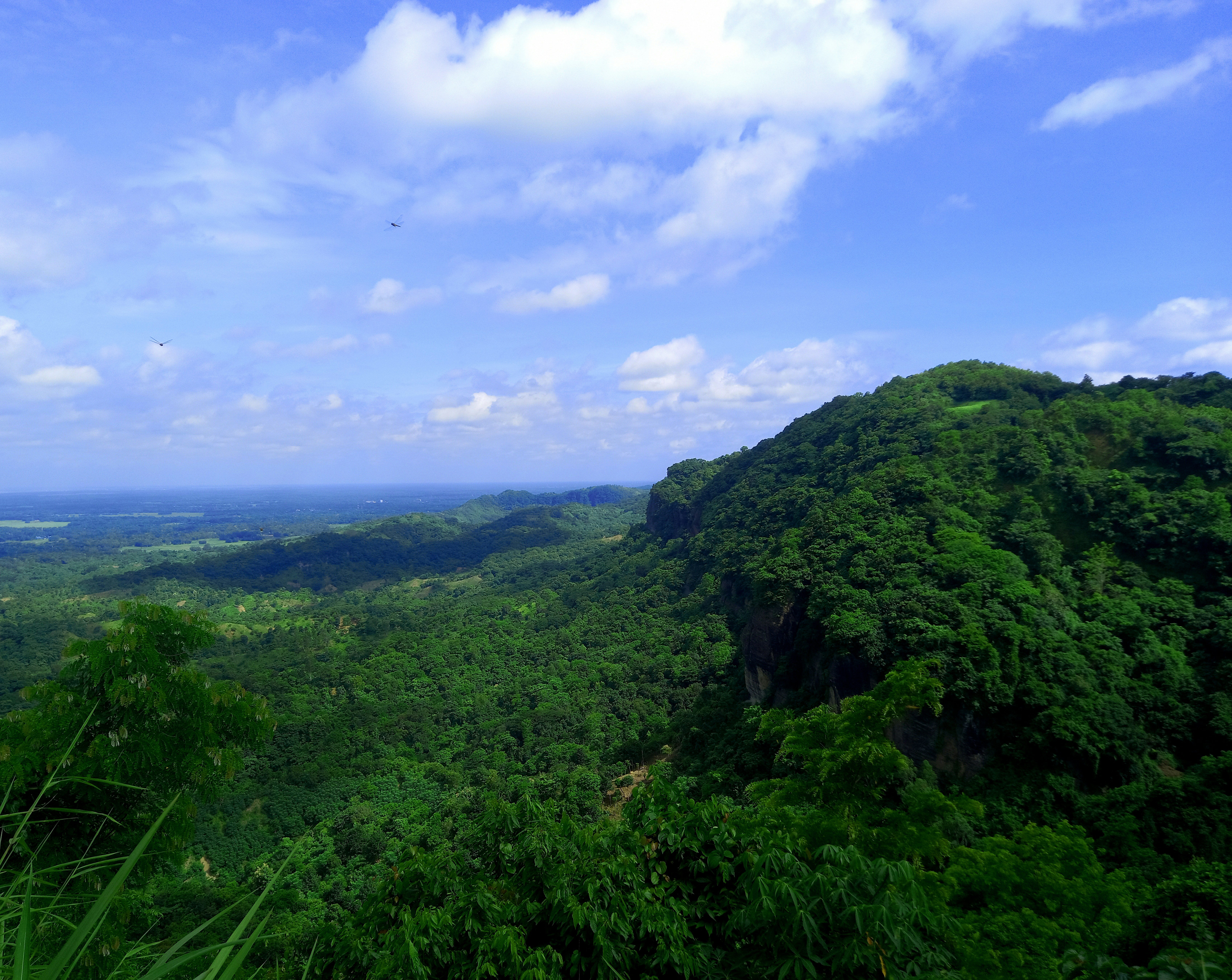 Photo by abrarul__haque