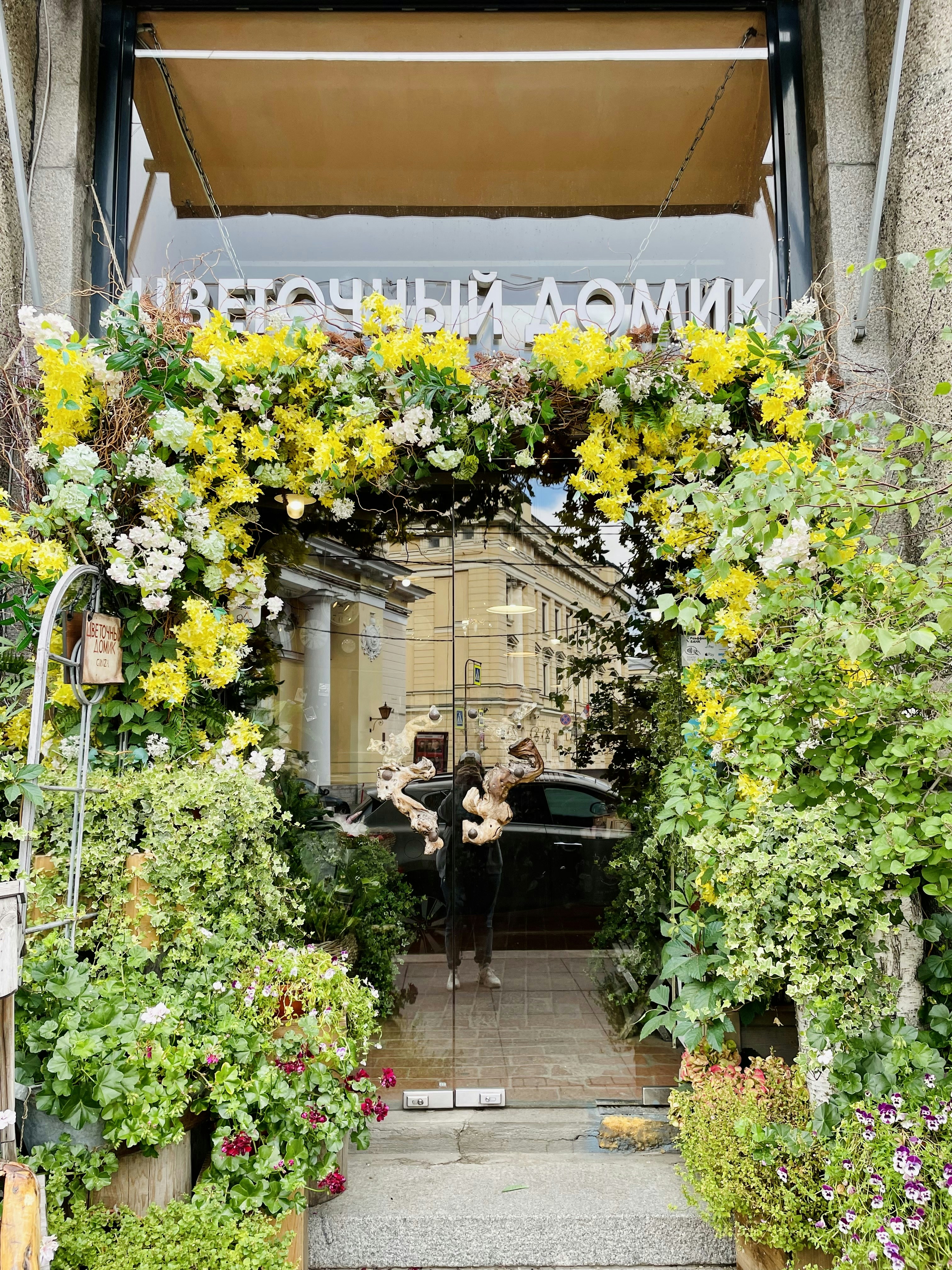 Luscious Floral Arrangements & Plants