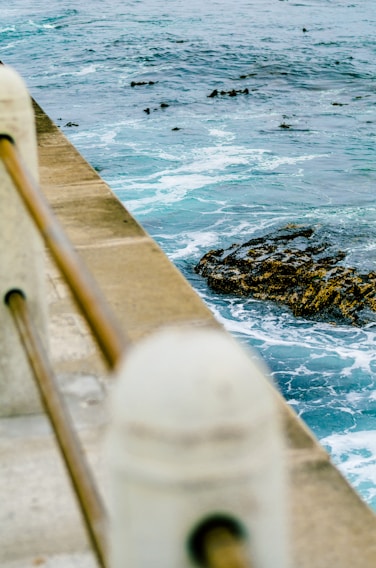 A freshly repaired seawall with vibrant custom colors blending naturally with the shoreline.