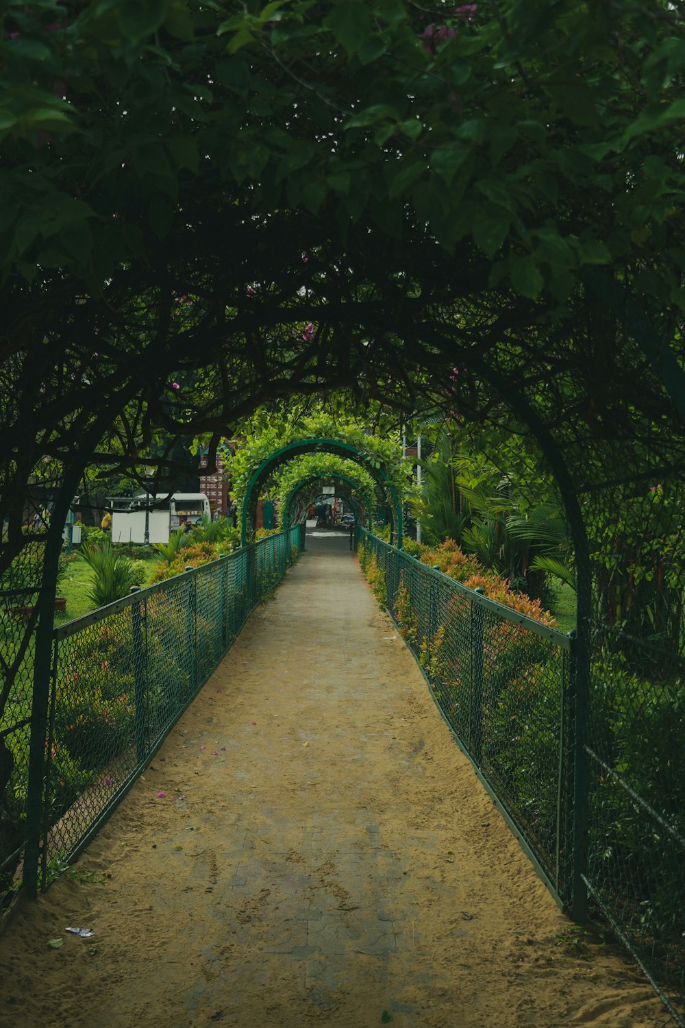a walkway is surrounded by trees and bushes