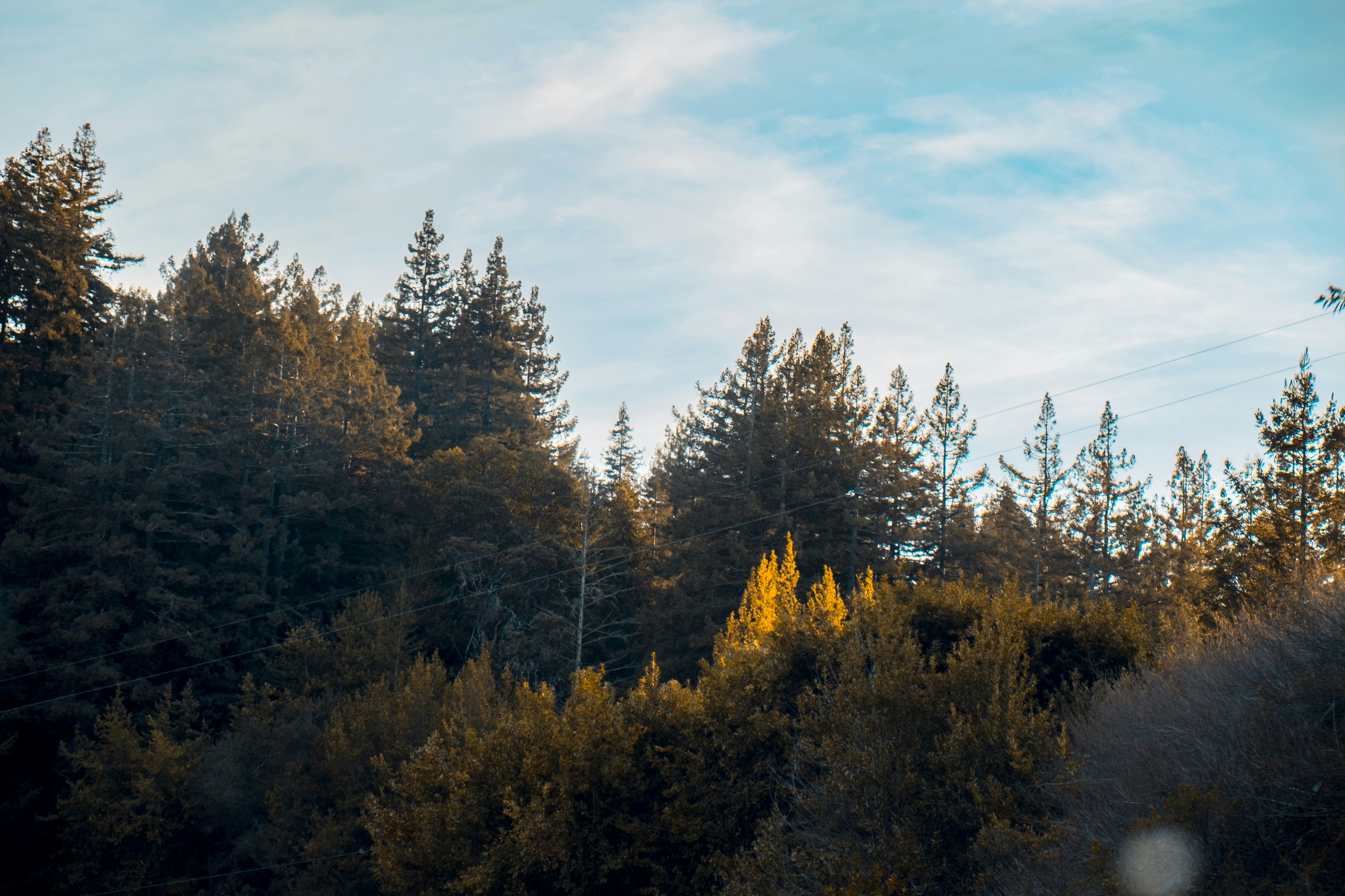 Photo by mo_design_3d