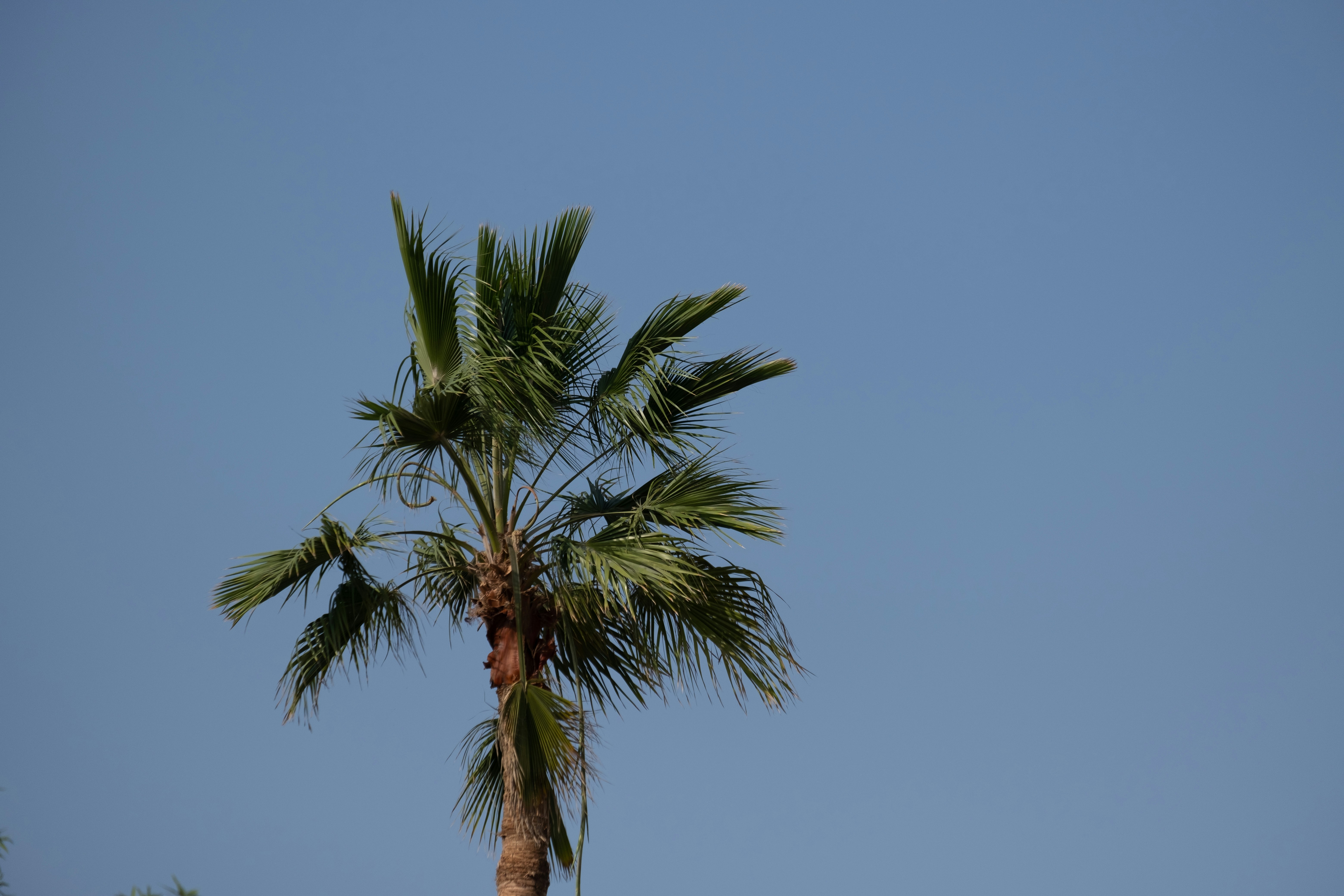 Photo by mo_design_3d