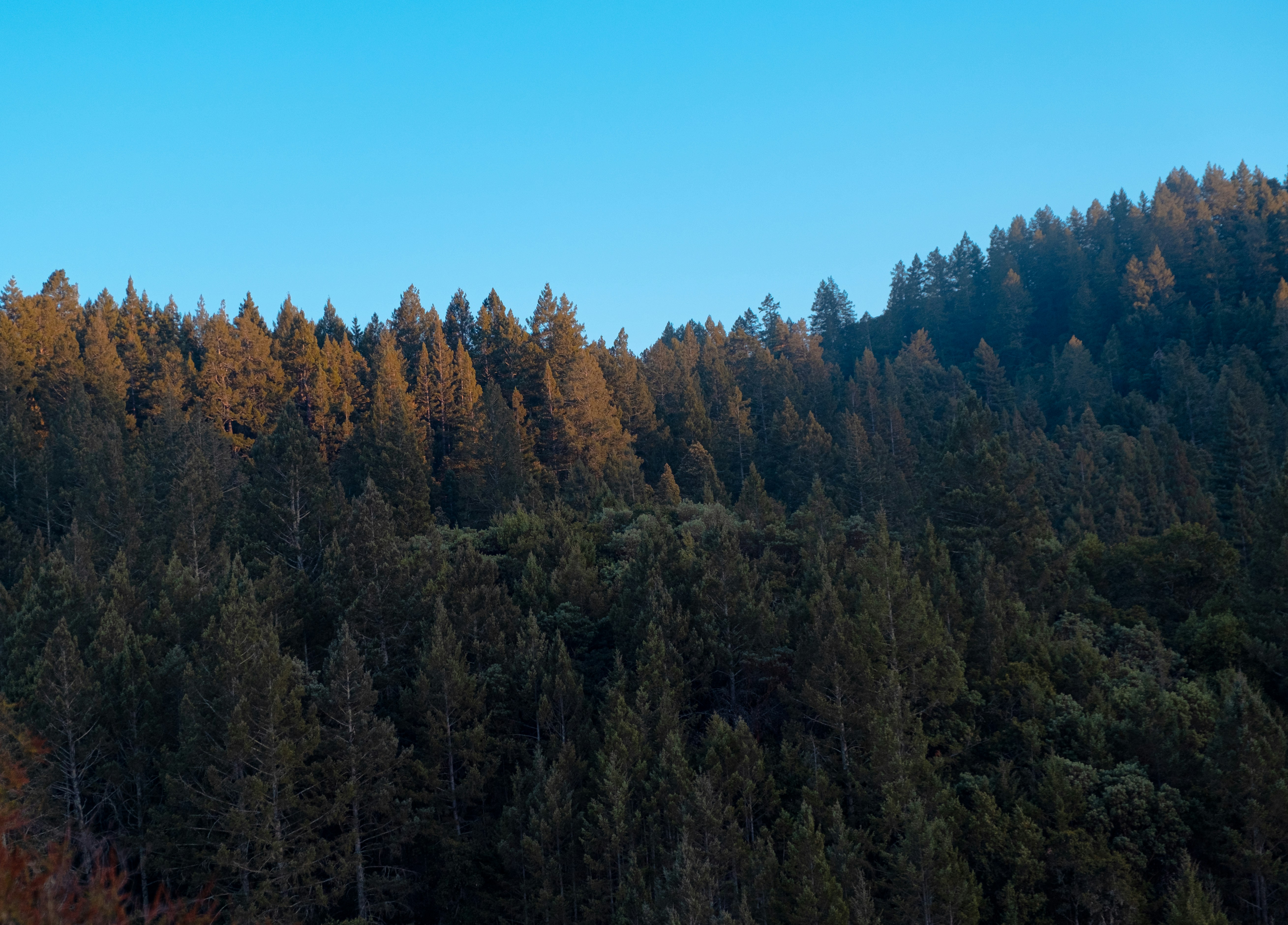 Photo by mo_design_3d