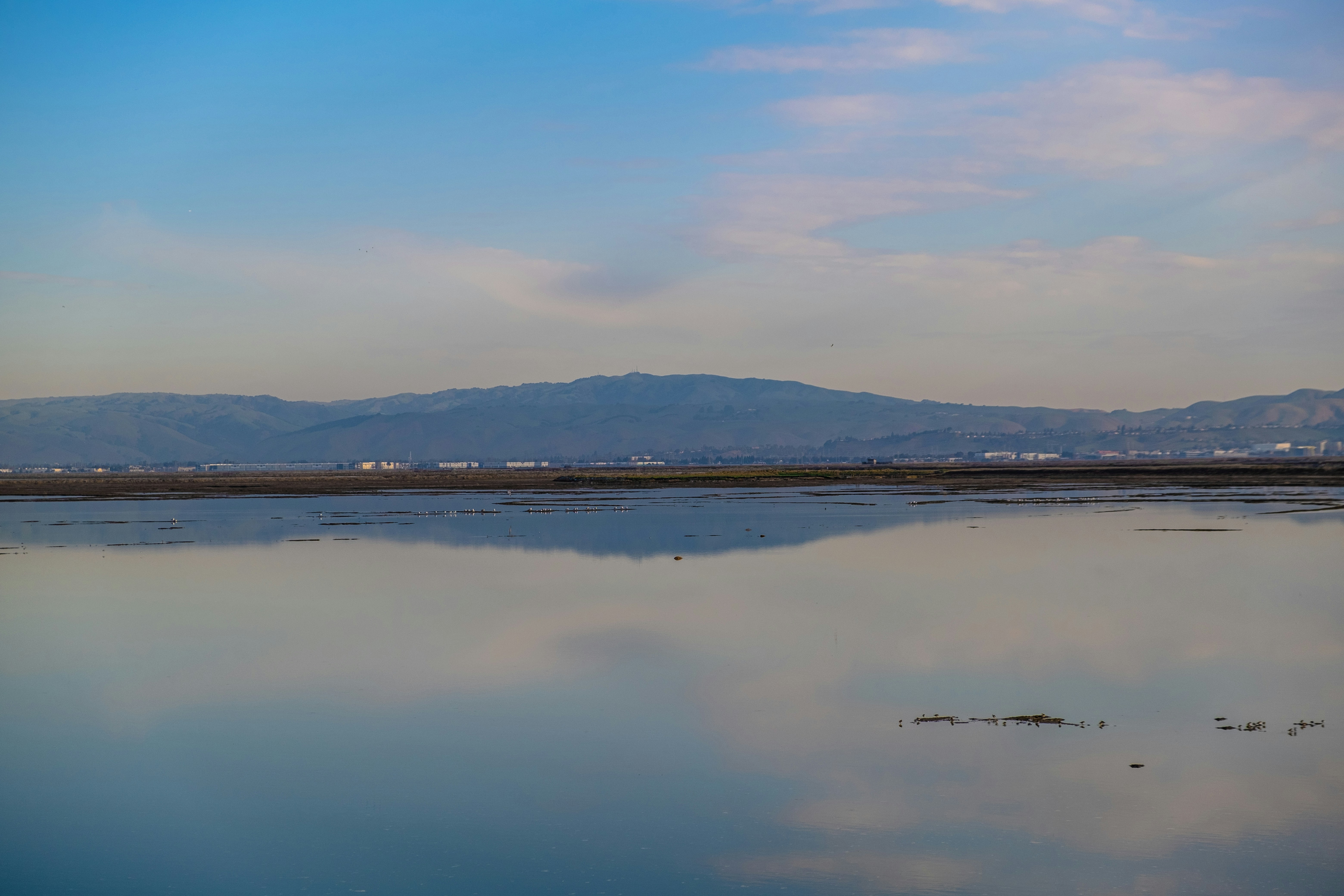 Photo by mo_design_3d