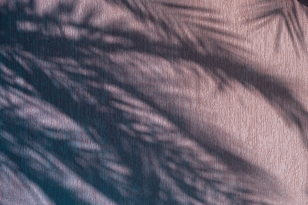 the shadow of a palm tree on a blanket