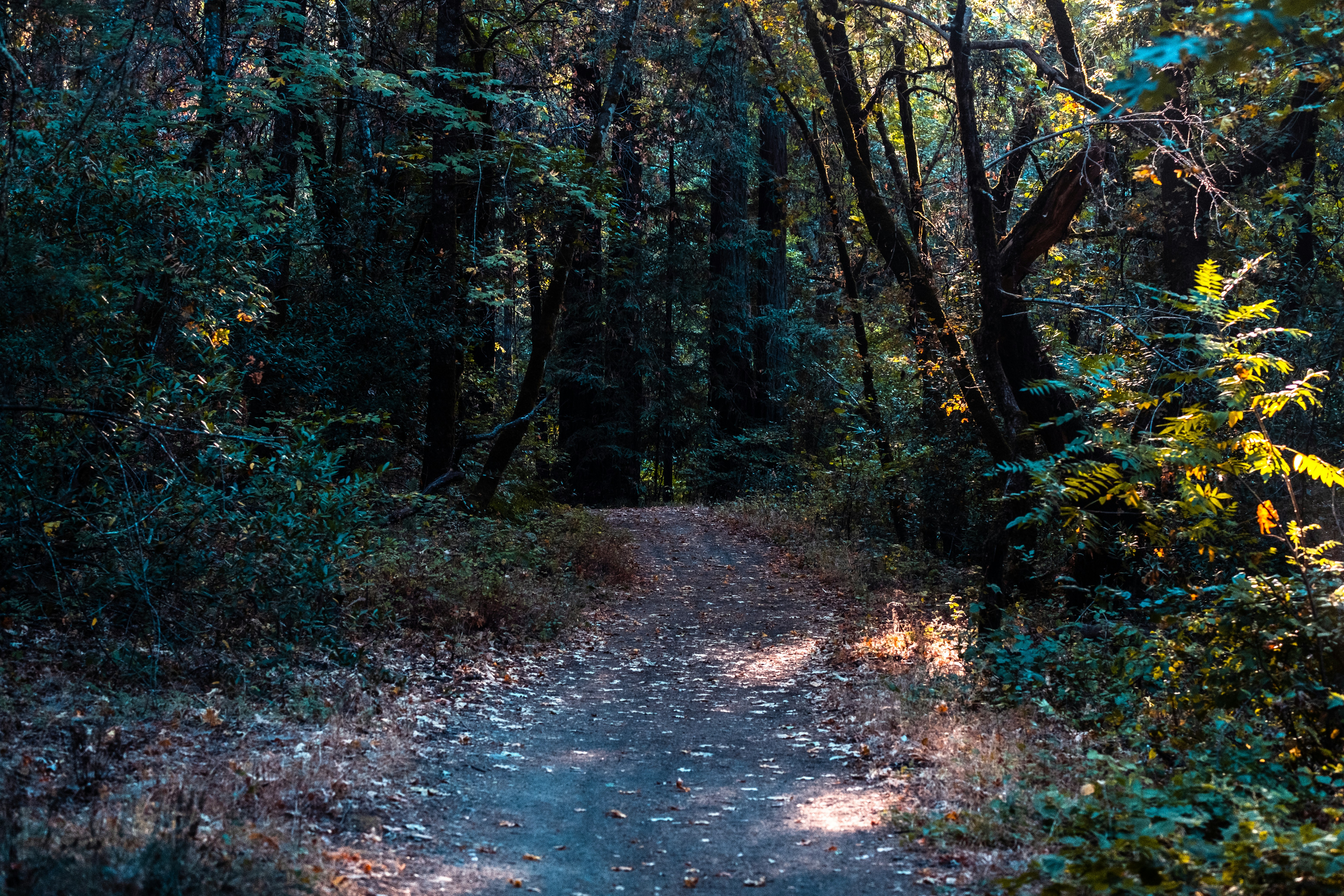 Photo by mo_design_3d