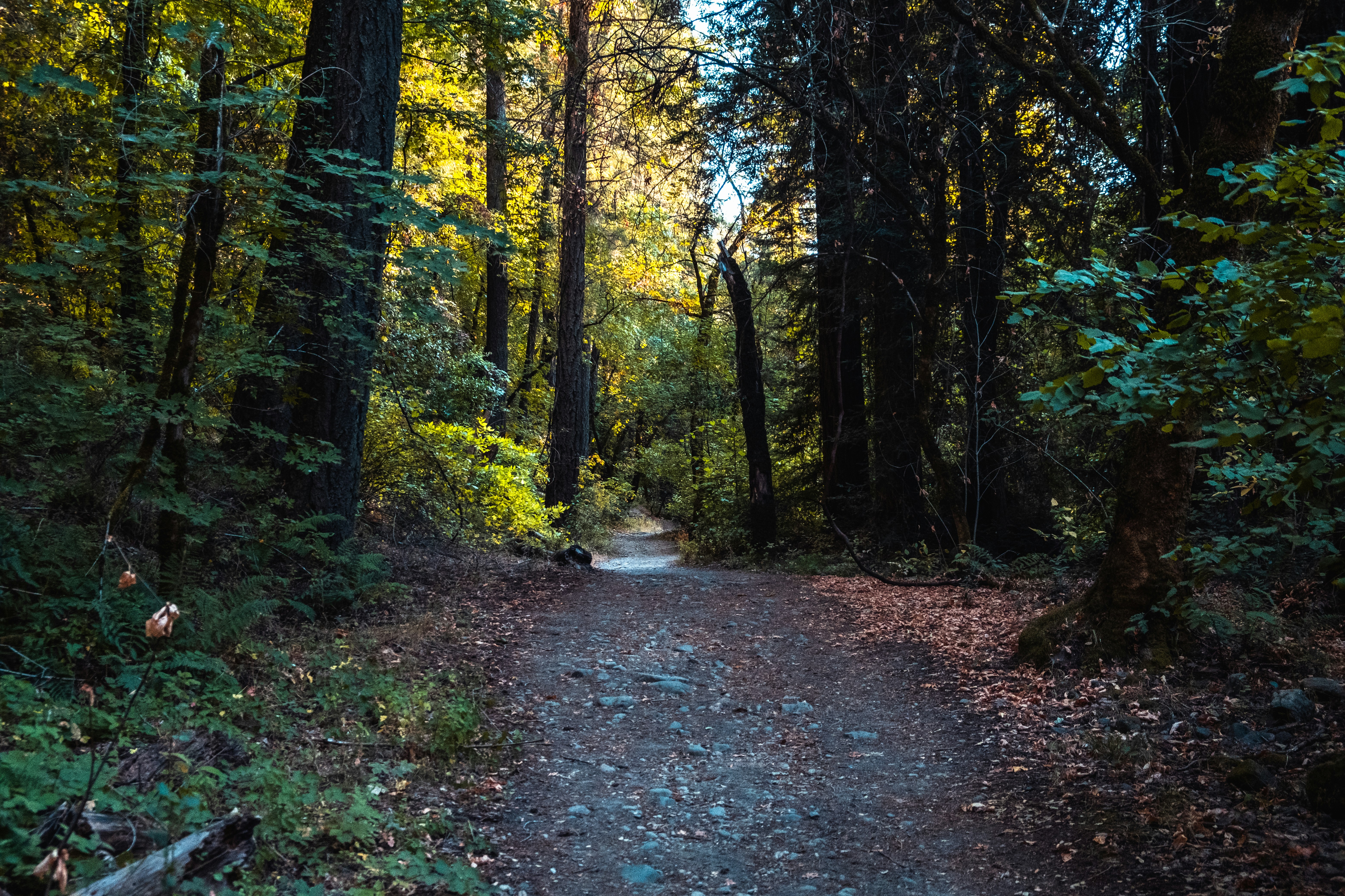 Photo by mo_design_3d