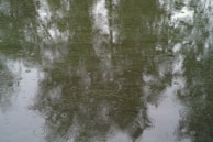 A close-up of raindrops creating ripples on the surface of a pond.