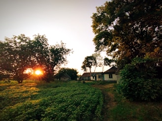 Sunset casting golden light over the tranquil farm landscape.