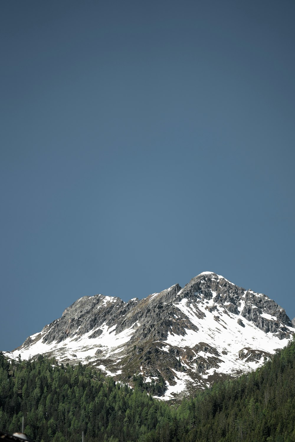 Una montagna innevata con alberi in primo piano