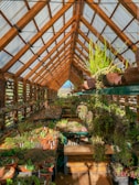 A spacious greenhouse filled with a variety of potted plants and succulents. Wooden shelves hold numerous plants, with hanging greenery above. The greenhouse is constructed with large wooden beams and transparent panels, allowing sunlight to filter in and create a warm, inviting atmosphere.