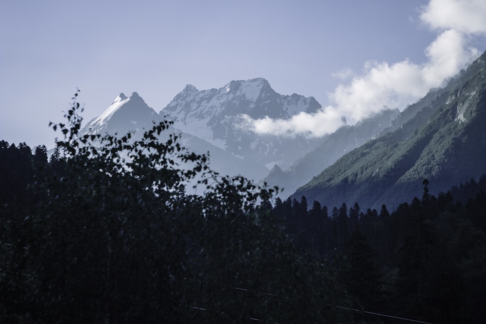 a view of a mountain range with trees in the foreground