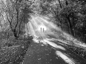 A black and white photo of a pathway through a forest with light streaming through the trees, creating dramatic shadows on the ground. Two figures are walking down the path towards a bright light at the end, where the trees form a natural archway.