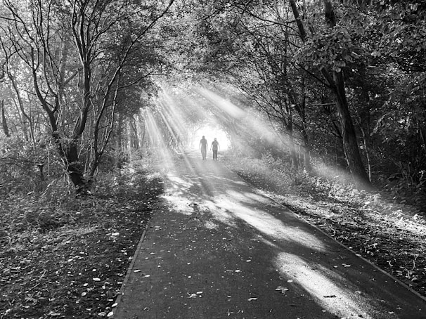 A black and white photo of a pathway through a forest with light streaming through the trees, creating dramatic shadows on the ground. Two figures are walking down the path towards a bright light at the end, where the trees form a natural archway.