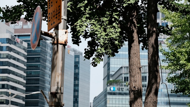 Urban scene with modern glass office buildings and a prominent tree in the foreground. A rusty signpost with a no-parking sign featuring Korean text is also visible. The scene is a mix of nature and city infrastructure.