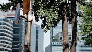 Urban scene with modern glass office buildings and a prominent tree in the foreground. A rusty signpost with a no-parking sign featuring Korean text is also visible. The scene is a mix of nature and city infrastructure.