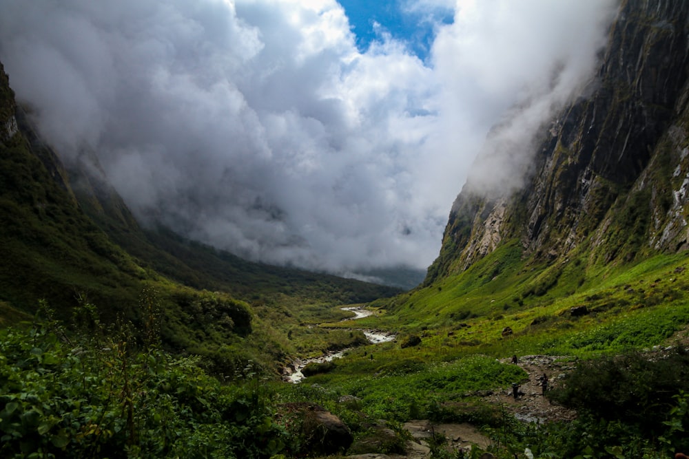 a view of a valley with a river running through it