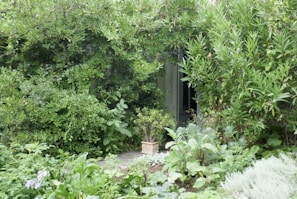 An inviting pathway lined with low-saturation deep green plants leading to the main entrance.