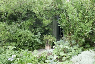 A cozy office garden featuring green shrubs and a small stone path