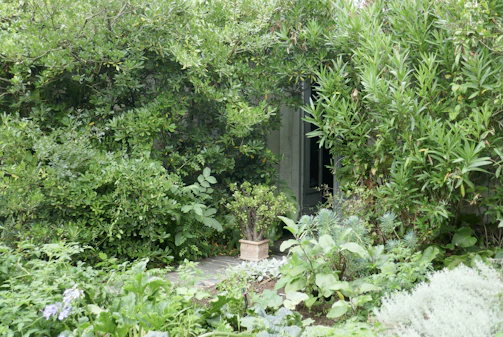 Pathway through lush green garden leading to the entrance of Karaöz Aysu Pansiyon.