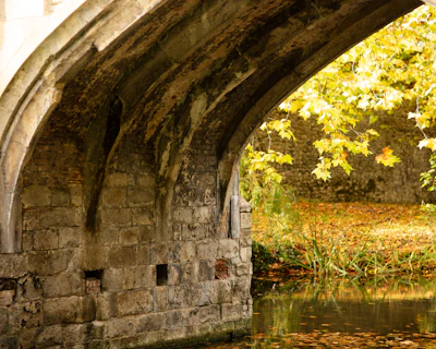 An ancient stone bridge arching over a gently flowing river surrounded by autumn foliage.