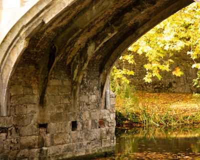 Historic stone bridge over the Ebro River surrounded by autumn foliage in La Rioja.