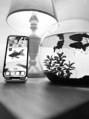 A smartphone displaying a fish illustration is placed on a stand on a wooden surface next to a fishbowl containing live fish and aquatic plants. A lamp with a fabric shade is visible in the background.