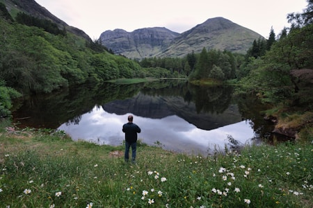 A person stands by a tranquil lake surrounded by lush green forests and mountains. The water reflects the landscape, creating a mirror-like effect. Wildflowers and grass grow in the foreground, adding a touch of color to the serene setting.