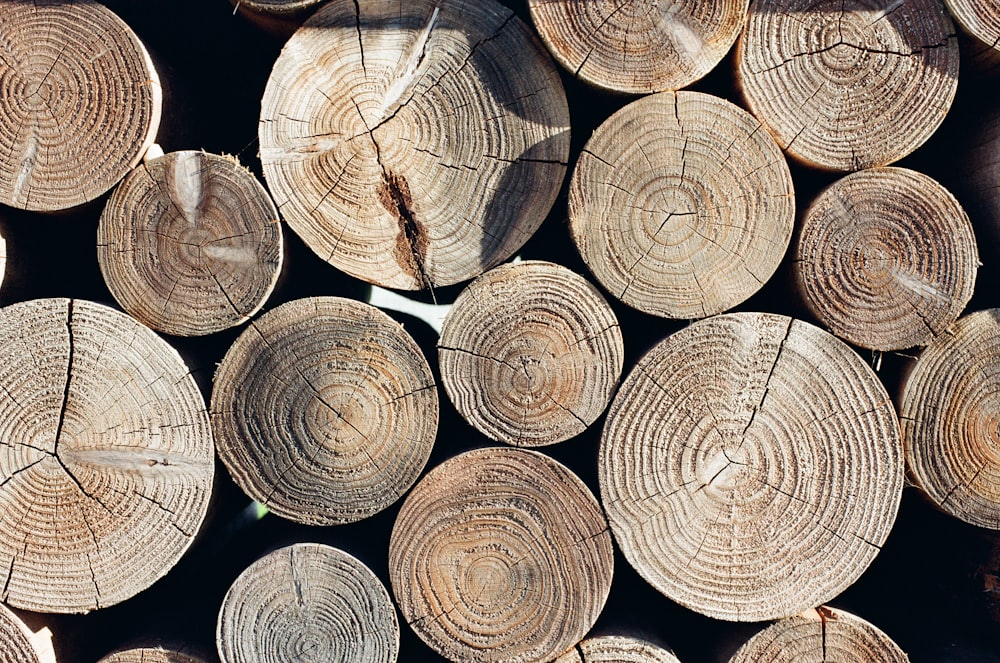 a pile of cut logs stacked on top of each other