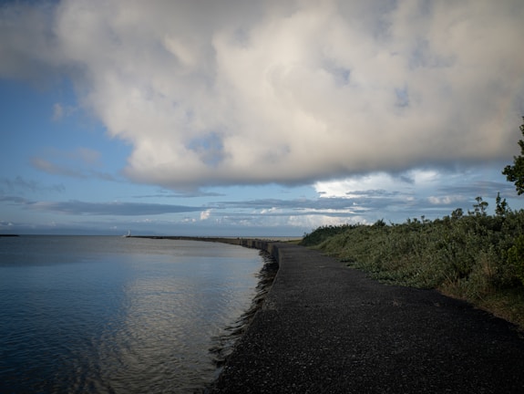 A quiet coastal path bathed in soft morning light, inviting a slow, reflective walk.