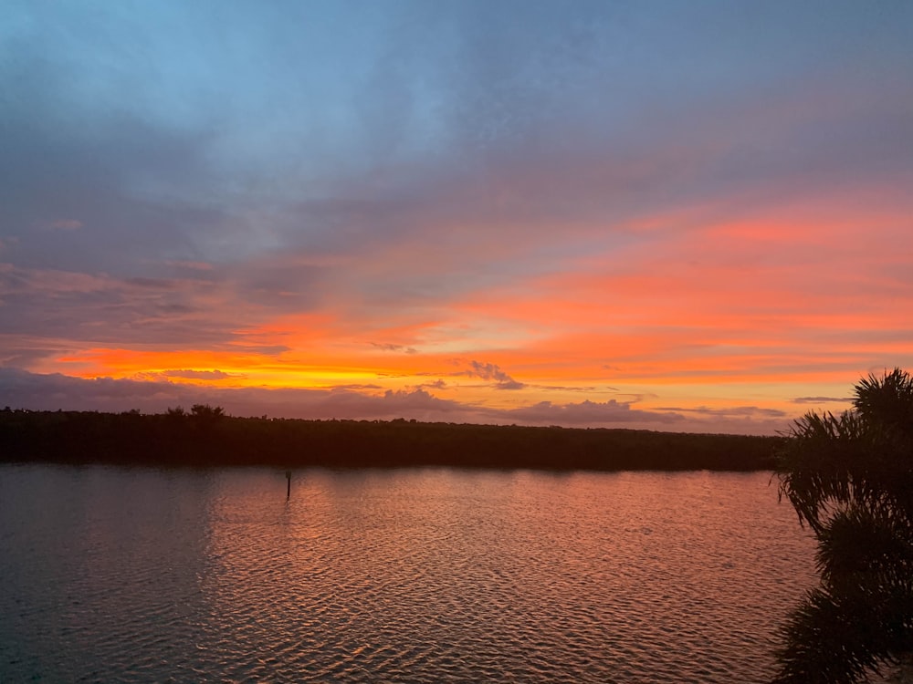 前景に木々がある水域に沈む夕日