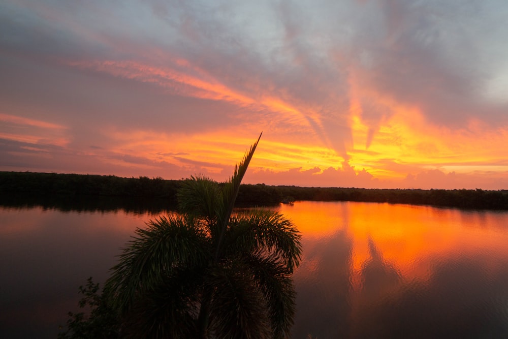 a sunset over a lake with palm trees in the foreground