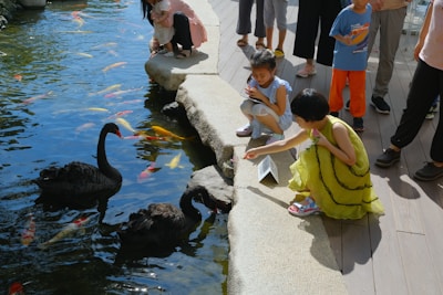 Children gathered around a pond, observing aquatic life with magnifying glasses under a bright sunny sky.