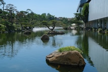 A tranquil landscape featuring a serene pond surrounded by beautifully manicured trees and rocks. The water reflects the greenery and the clear blue sky, adding to the peaceful atmosphere. A modern building with clean lines is situated to the right, partially covered with ivy.