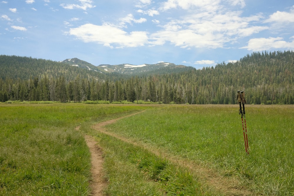 a dirt road in the middle of a grassy field