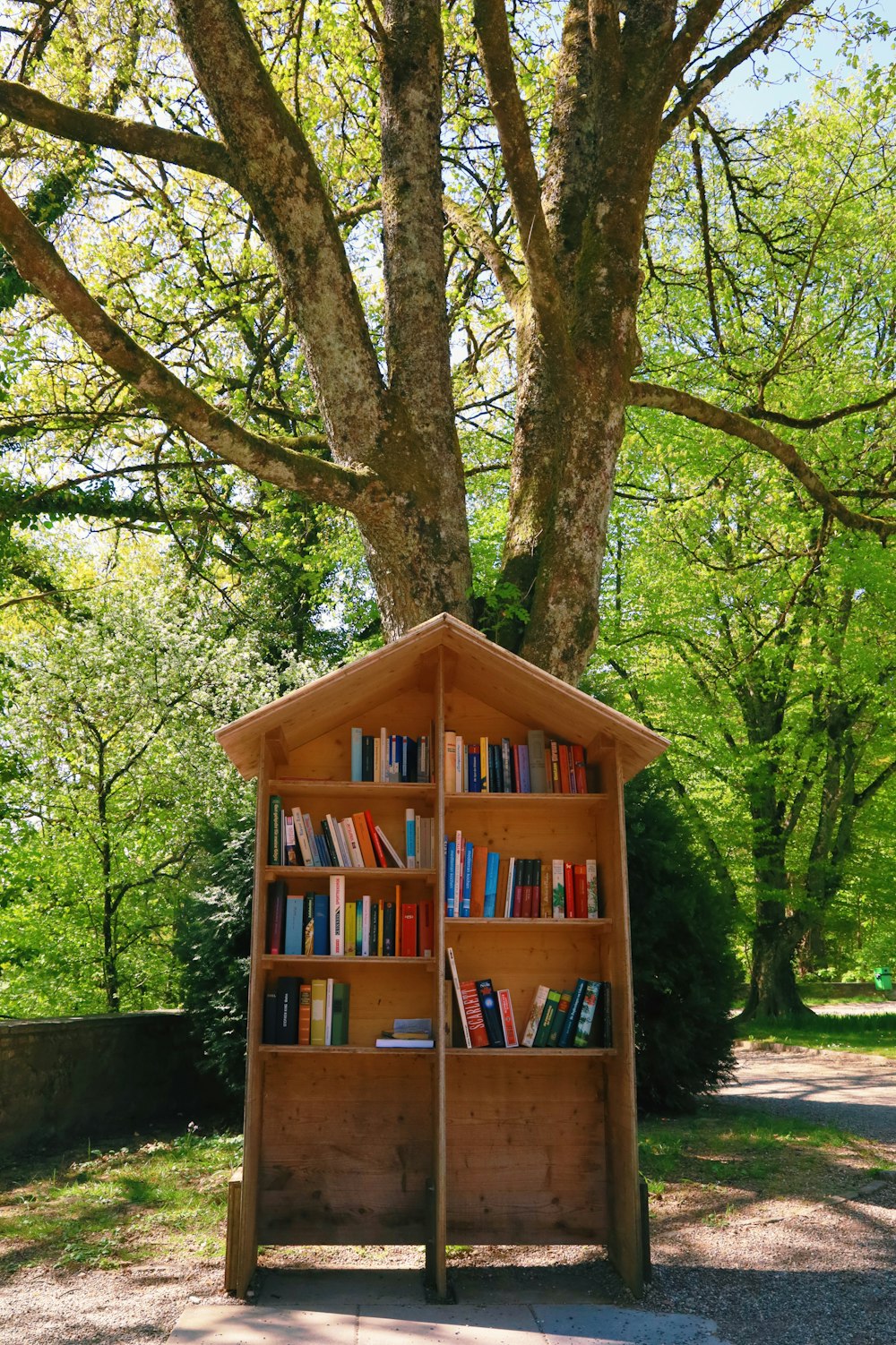 a bookshelf in the shape of a tree in a park