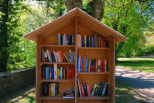 A wooden outdoor bookshelf filled with a variety of colorful books is set against a backdrop of lush, green trees and grass. The structure has a sloped roof, resembling a small house or hut. The area is well-lit, suggesting it's a sunny day. A stone wall is partially visible to the left, and a shaded path can be seen to the right.