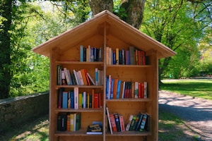 A wooden outdoor bookshelf filled with a variety of colorful books is set against a backdrop of lush, green trees and grass. The structure has a sloped roof, resembling a small house or hut. The area is well-lit, suggesting it's a sunny day. A stone wall is partially visible to the left, and a shaded path can be seen to the right.