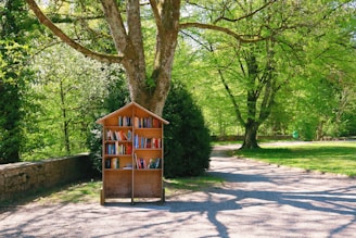 A small, outdoor bookshelf filled with books is positioned under a large, leafy tree. The setting is a sunny park with a path curving through lush green grass. The warm, natural wood of the bookshelf contrasts with the vibrant greens of the surrounding foliage.